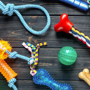 Dog Toys Types