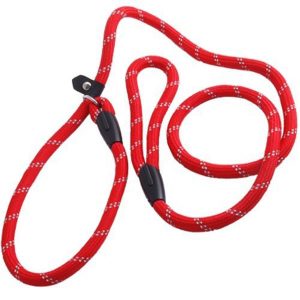 Facilla Red Nylon Adjustable Loop Basic Dog Leash