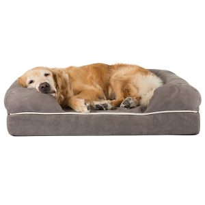 Friends Forever Premium Orthopedic Lounge Dog Bed