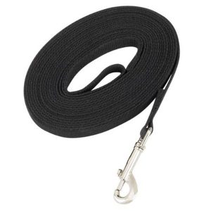 Guardian Black Cotton Web Basic Dog Leash