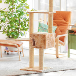 How Big Should Cat Tree Be