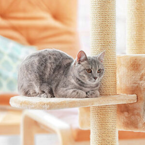 How Long Does A Cat Tree Last?