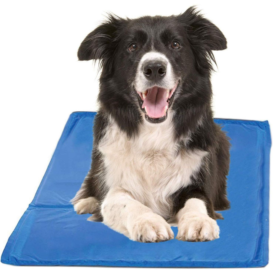 HPP Chillz Gel Dog Cooling Pad