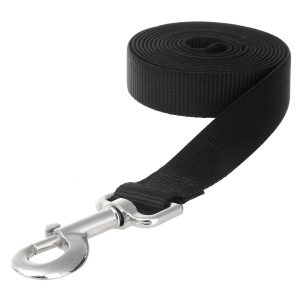 Itery Durable Nylon Strap Basic Dog Leash