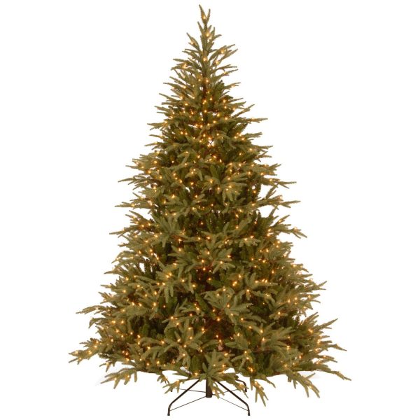 National Tree Frasier 1000 LED Lights Tree