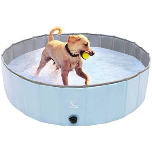 Pawchie Collapsible Dog Pool