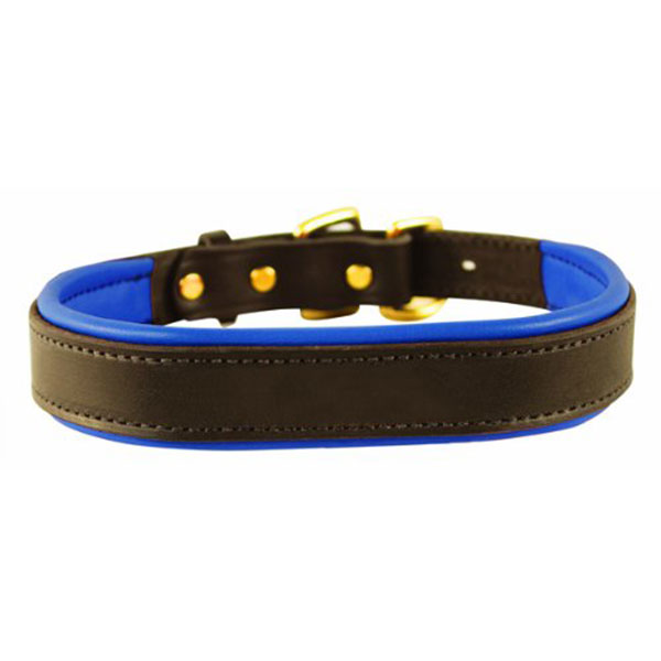 Perri’s Padded Leather Basic Dog Collar