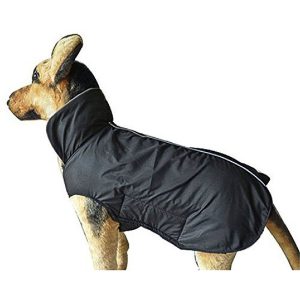 Petcee Waterproof Fleece Lined Dog Raincoat