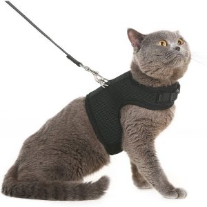 pet clever cat harness