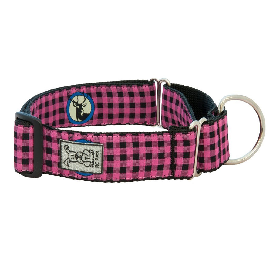 RC Pet Products All Webbing Martingale Dog Collar