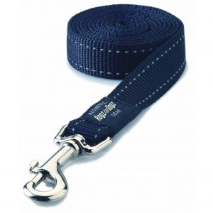 Rogz Fanbelt Blue Utility Reflective Basic Dog Leash