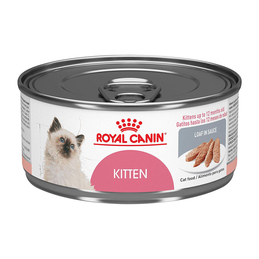 Royal Canin Feline Health Nutrition Wet Kitten Food