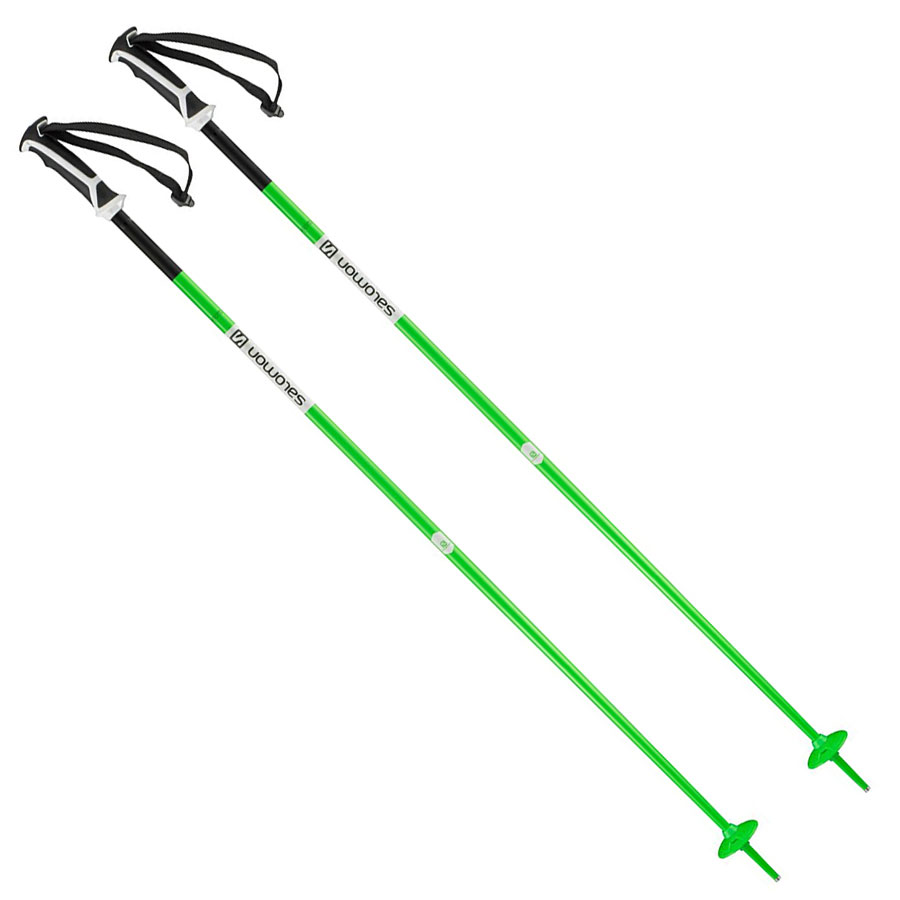 Salomon Arctic Ski Poles