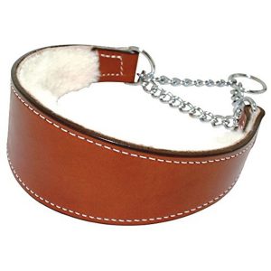 Sheepskin Lined Leather Martingale Dog Collar