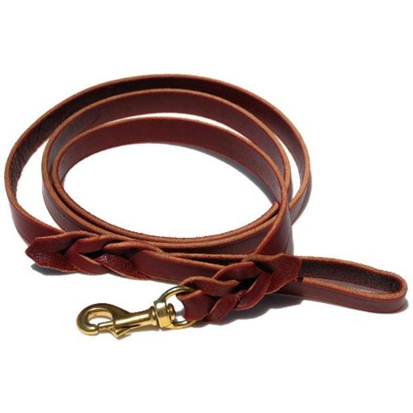 Signature K9 Braided Leather Basic Dog Leash