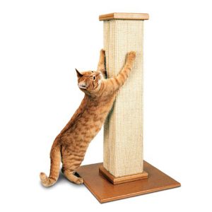 SmartCat Pioneer The Ultimate Cat Scratching Post