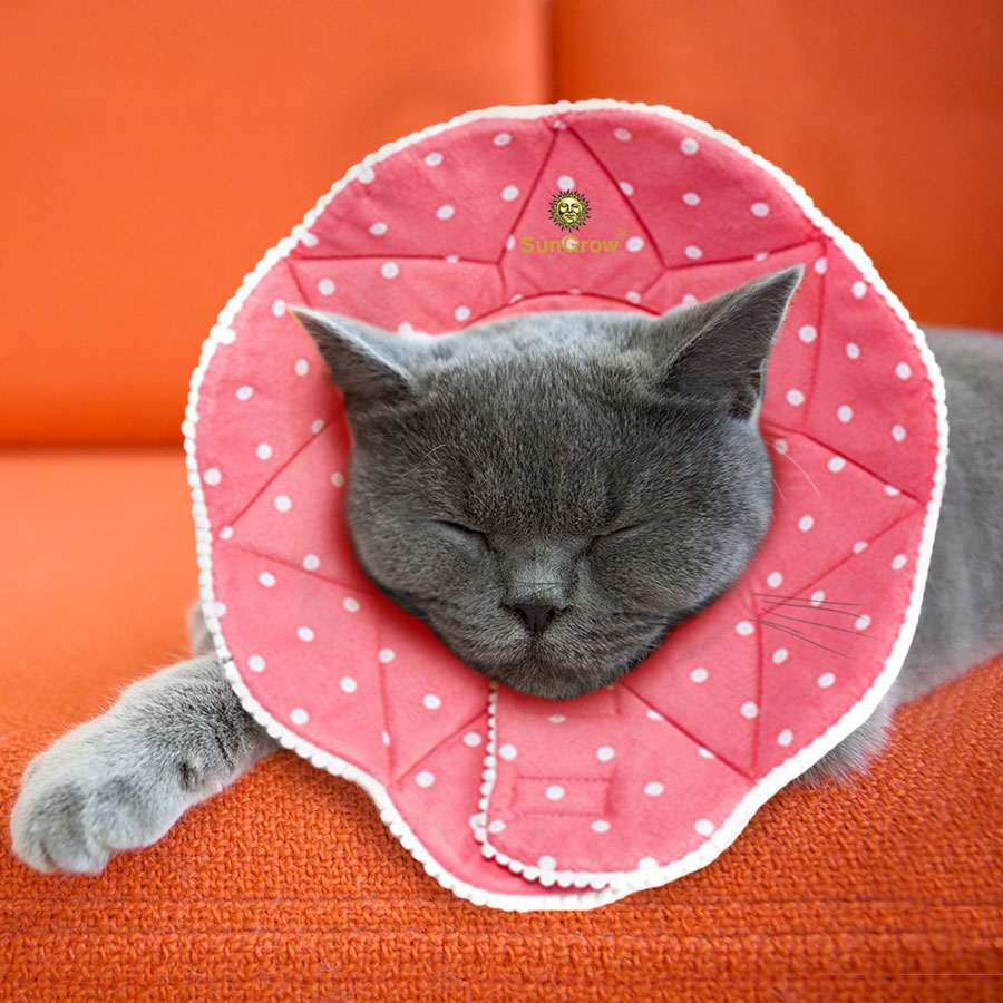 SunGrow Cute Stress-Free Comfy Durable Cat Cone