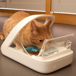 SureFeed Microchip Automatic Cat Feeder