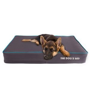 The Dog Premium Orthopedic Waterproof Memory Foam Dog Bed