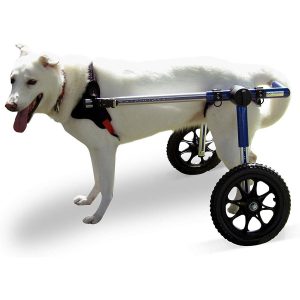 Walkin’ Wheels Veterinarian Approved Dog Wheelchair