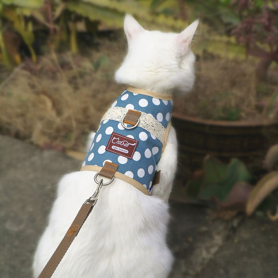 Yizhi Miaow Adjustable Padded Cat Harness